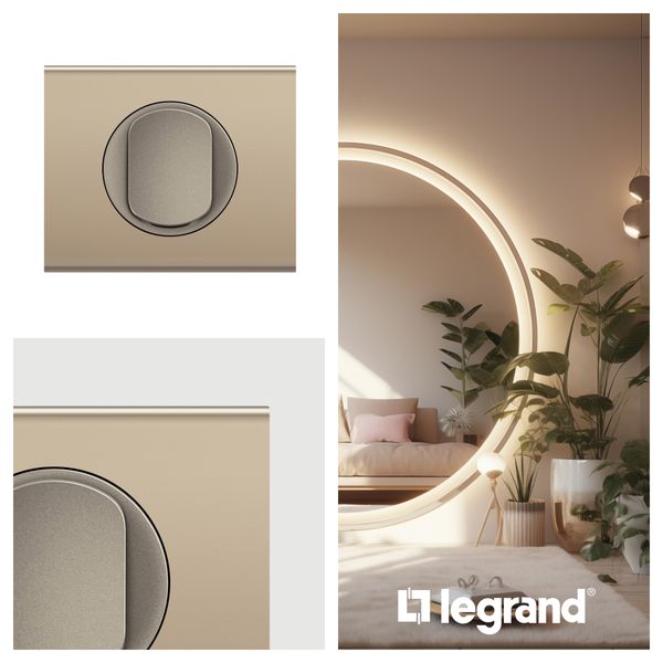PLATE 4 GANG SATIN NICKEL image 5
