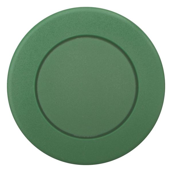 M22S-DP-G Mushroom actuator, RMQ-Titan, Mushroom, momentary, Mushroom green, green, Blank, Bezel: black image 3