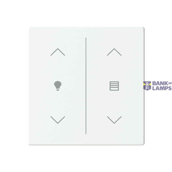 DC24D1 ESP module image 1