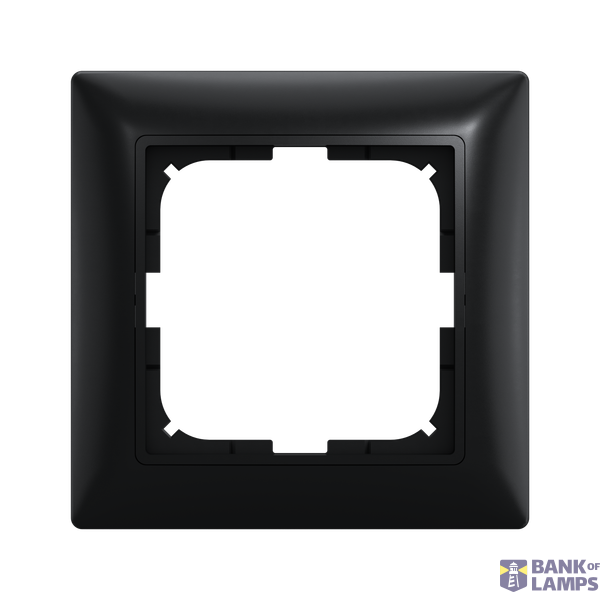 Frame 1M complete image 1