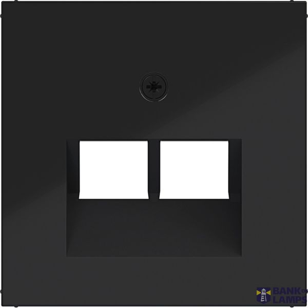 Central plate data socket 2-way, angled output, A.x/C.x, black glass. image 1