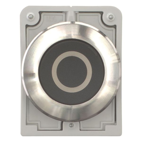M30I-FD-S-X0 Pushbutton, RMQ-Titan, flat, momentary, black, inscribed, Front ring stainless steel image 10