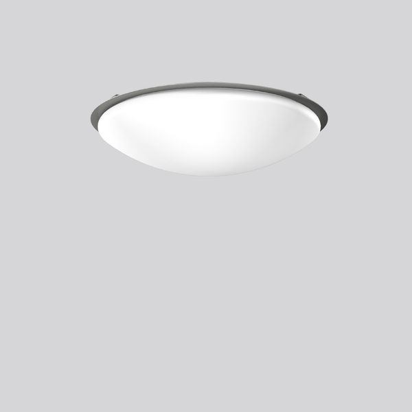 Decorative ring D 490 H 19 colour: nickel image 1