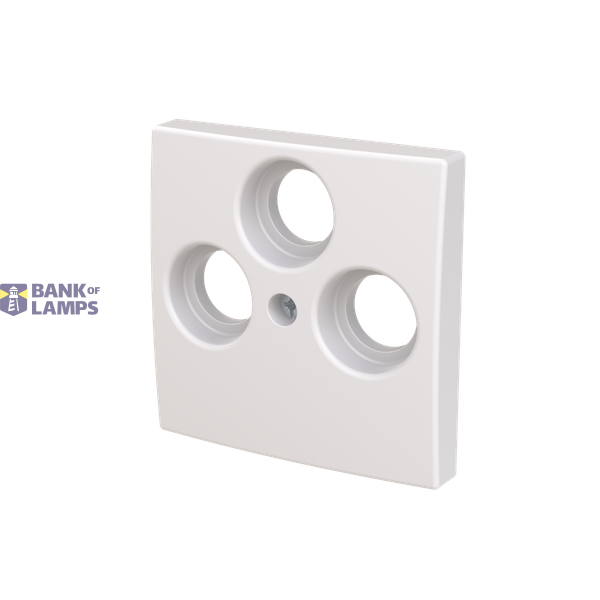 Center plate for TV/R/SAT, 85mm image 2