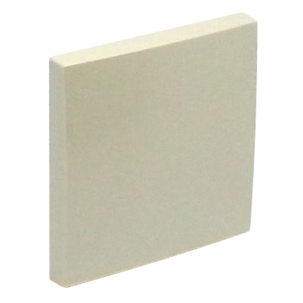 ROCKER FOR SWITCHES PEARL image 1