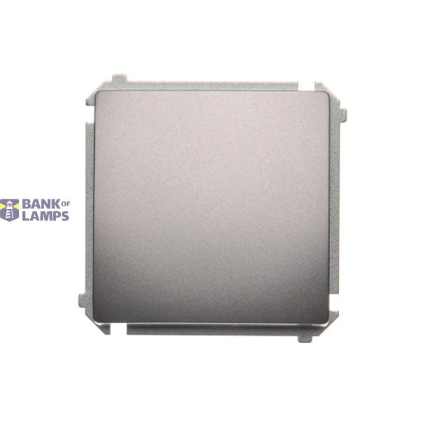 Two-way switch, (module), 16AX, Screw, Inox, metallized image 1