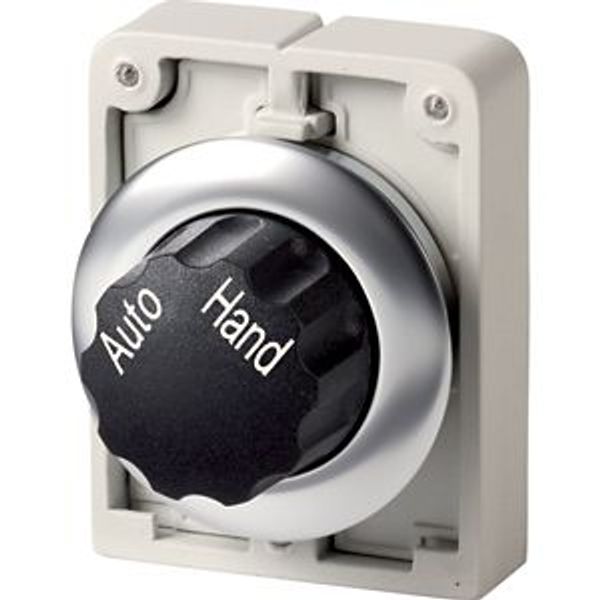 M30I-FWR-X91 Changeover switch, RMQ-Titan, with rotary head, maintained, 2 positions, inscribed, Front ring stainless steel, AUTO HAND image 2