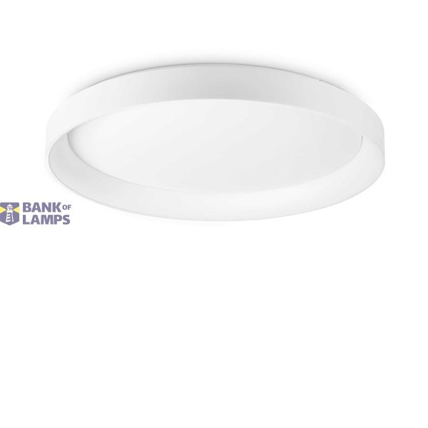 ZIGGY PL D100 BIANCO image 2