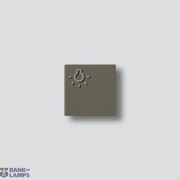 TLM 61x-01, BTLM 650-... BG Light button with light symbol image 1