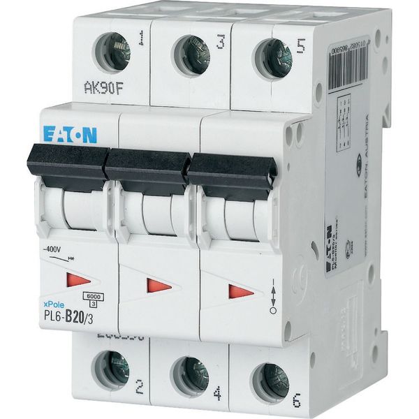 PL6-D20/3 Miniature circuit breaker (MCB), 20 A, 3p, characteristic: D image 2