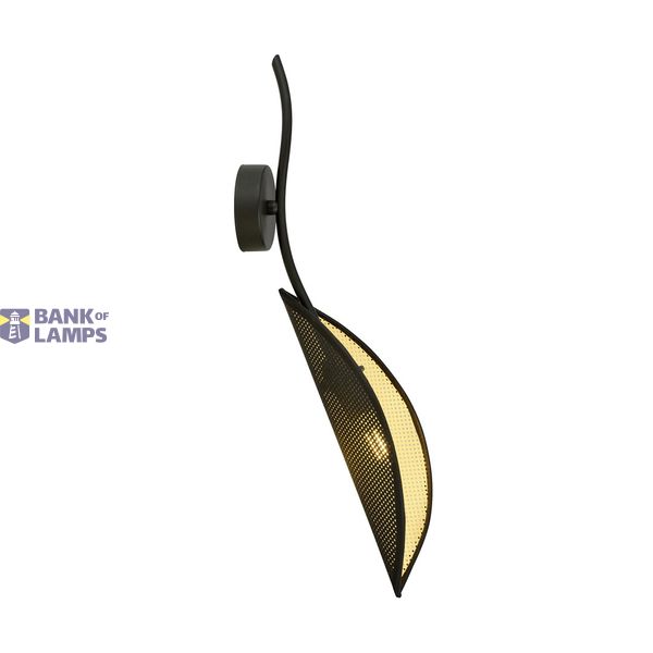 LOTUS K1 BLACK/GOLD image 1