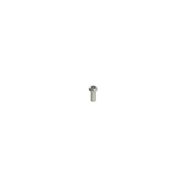 Stainless steel security screws image 1