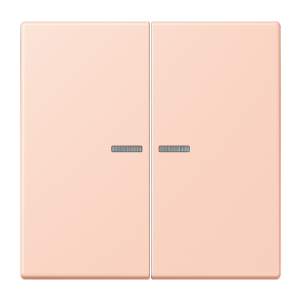 JUNG HOME push-button 2-gang BTLC17102234 image 1