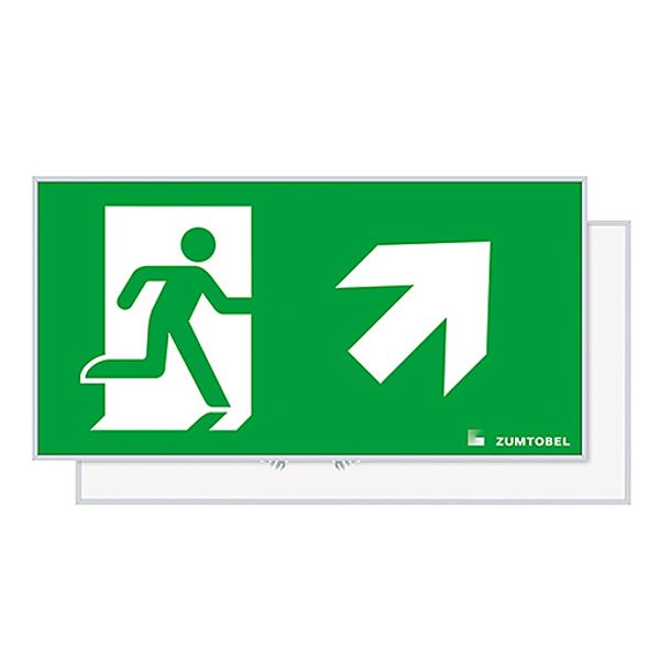 PURESIGN 150 MSC/MRC SP1-E002-UPR ERI SR - Escape sign image 1