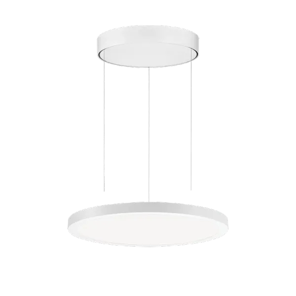 FL R+ 333 PL 8/23 S/A 840 WH9016 DALI OP image 1