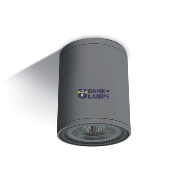 ANTHRACITE CYLINDER PAR30 E27 20W IP54 image 1