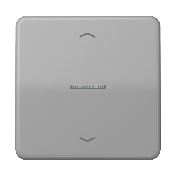 ENet push-button standard 1-gang FMCD1700PGR image 1