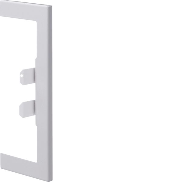 Wall cover plate for BR/A 68x170mm lid 80mm of sheet steel in pure whi image 1