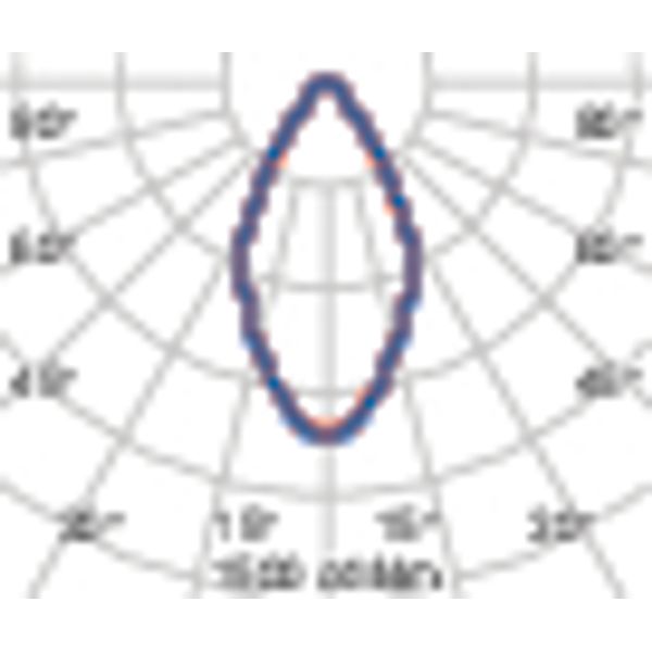 TYK+ 30 81 C/IW 927 ANTHRACITE image 7