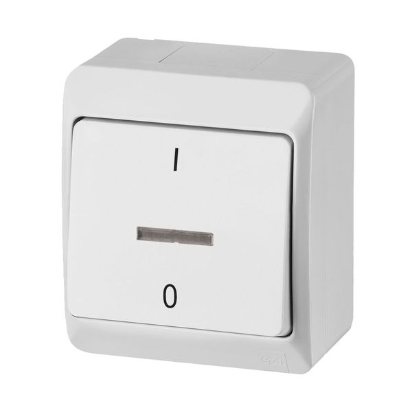 HERMES 2-pole surface-mounted switch with backlight image 3