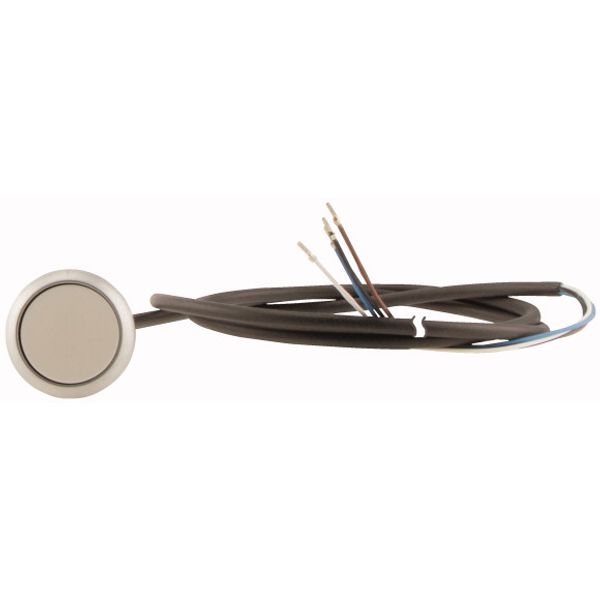 C22-DR-W-K10-P65 Pushbutton, classic, flat, maintained, 1 N/O, white, cable (black) with non-terminated end, 4 pole, 3.5 m image 2