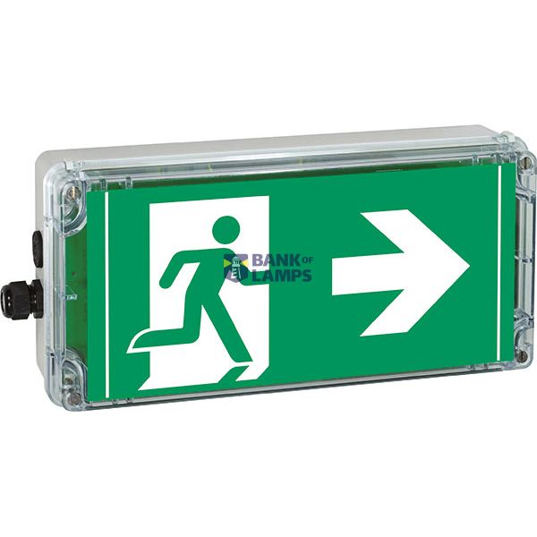 Ex-escape sign luminaires EXIT for zone 1/21, Pictogram: DIN ISO 7010, Arrow: 3 Clock image 2