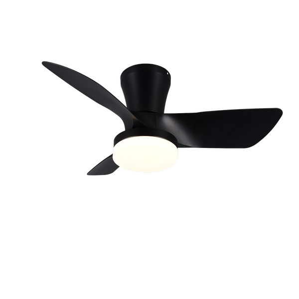 Randers LED ceiling fan matt black image 1
