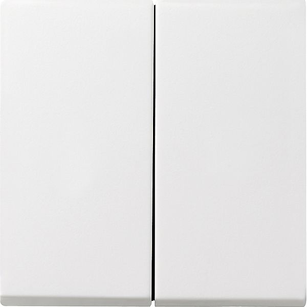 rocker 2-g + seal IP44 Standard 55, Gira E2 p.white m image 1