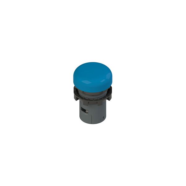 Illuminated monolithic indicator image 1