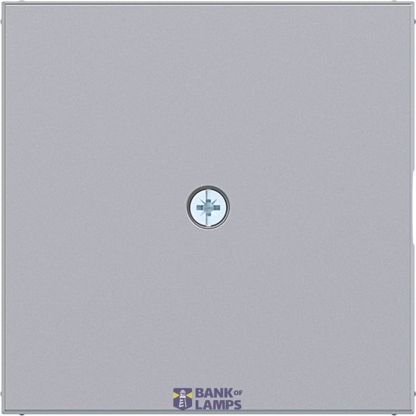 Central plate for cable entry piece, A.x/C.x, titanium image 1