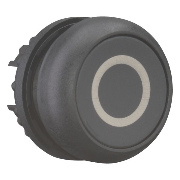 M22S-DR-S-X0 Pushbutton, RMQ-Titan, Flat, maintained, black, inscribed, Bezel: black image 8