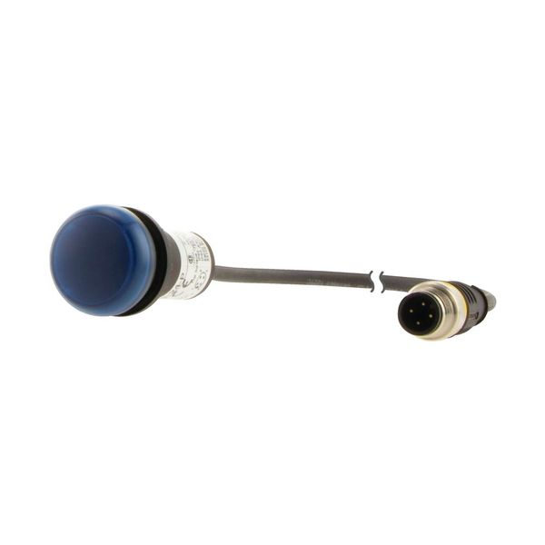 C22-L-B-24-P5 Indicator light, Flat, Cable (black) with M12A plug, 4 pole, 1 m, Lens Blue, LED Blue, 24 V AC/DC image 9