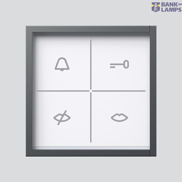 ZAM 670-0 DG Status display module image 1