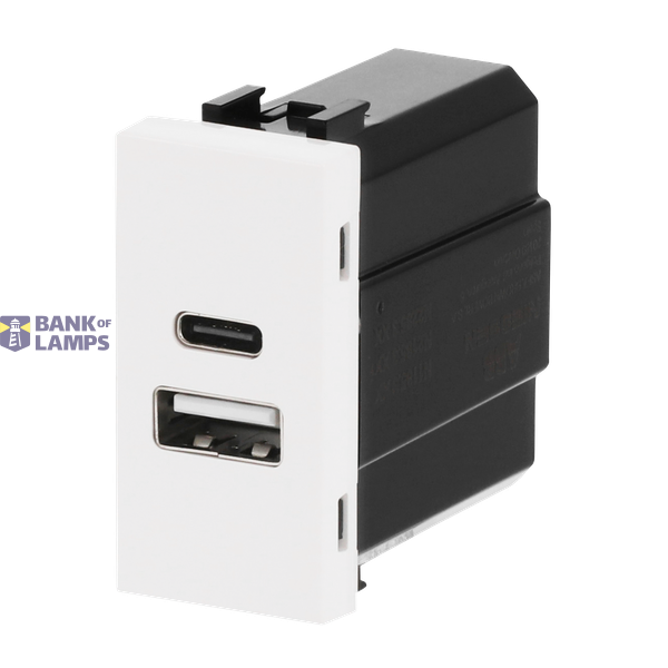 N2185.3 BL USB CHARGER A+C 10.5W -1M image 3