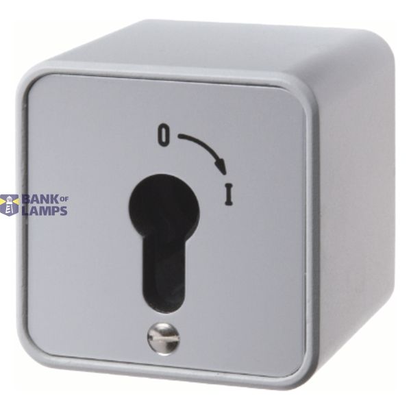 2-pole changeover switch for key cylinder, surface-mounted, cast IP44 image 1