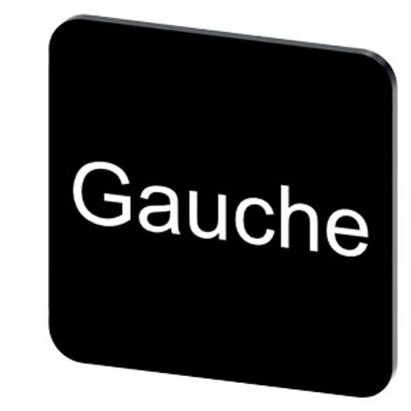 Labeling plate 22 x 22 mm, label black, labeling: GAUCHE image 1