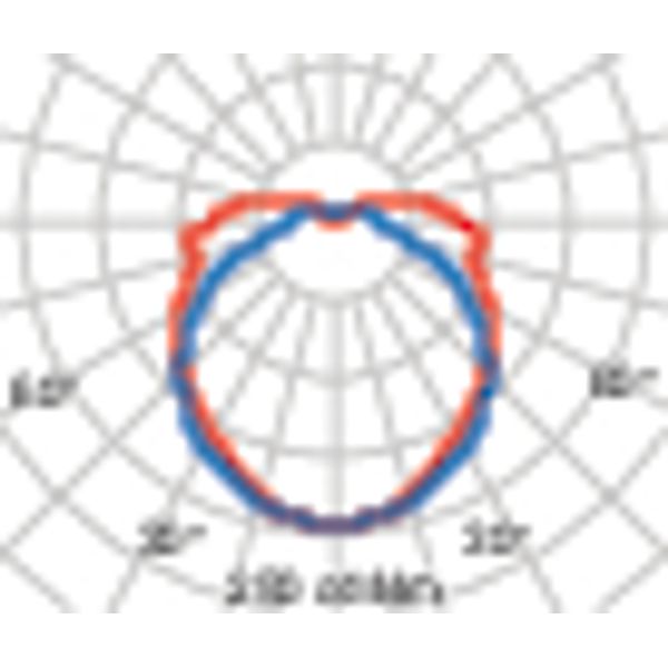 LANTERN NK2712 S/EW 840 ROESTBRUIN image 7