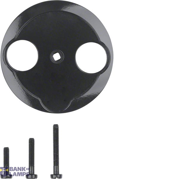 Antenna socket cover 2 cutouts, Series 1930/Glass, black image 1
