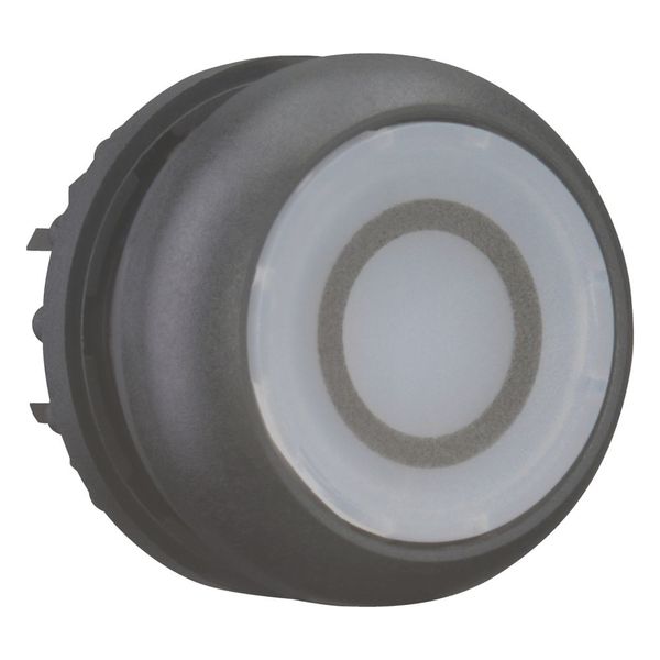 M22S-DRL-W-X0 Illuminated pushbutton actuator, RMQ-Titan, Flush, maintained, White, inscribed 0, Bezel: black image 13