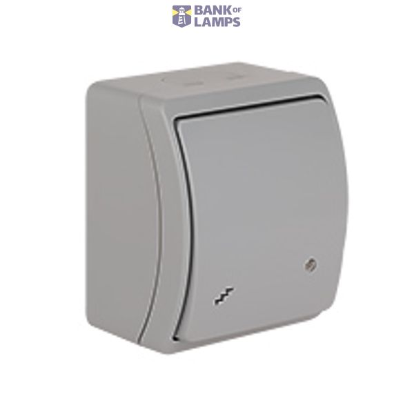 VW-3L Koala Two-Way Switch with illumination surface mounted IP44 gray VW 153-53 image 1