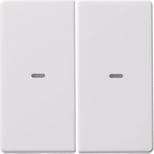 Cover for 2gang for push-button module, clearlenses, Q.1/Q.3, p. white image 2
