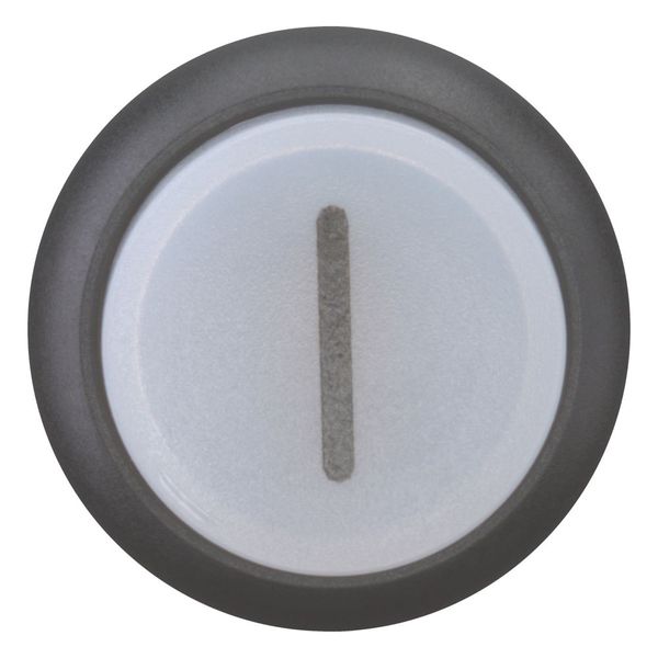 M22S-DRLH-W-X1 Illuminated pushbutton actuator, RMQ-Titan, Extended, maintained, White, inscribed 1, Bezel: black image 9