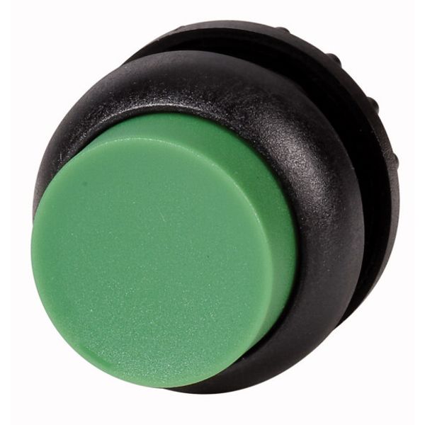 M22S-DH-G Pushbutton, RMQ-Titan, Extended, momentary, green, Blank, Bezel: black image 1