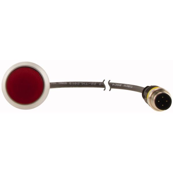 C22-DRL-R-K01-24-P3 Illuminated pushbutton actuators, maintained, red, 24v, 1 N/C, with cable 0.5m and M12A plug image 2