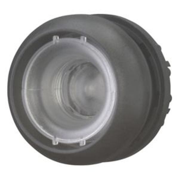 M22S-DRL-X Illuminated pushbutton actuator, RMQ-Titan, Flush, maintained, Without button plate, Bezel: black image 8
