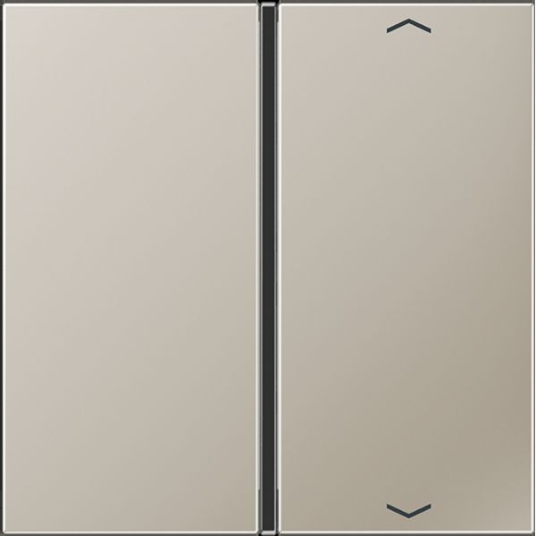 Cover 1-gang with symbols ES2401TSAP image 1