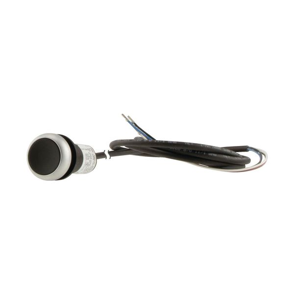 C22-D-S-K01-P62 Pushbutton, Flat, momentary, 1 NC, Cable (black) with non-terminated end, 4 pole, 1 m, black, Blank, Bezel: titanium image 15