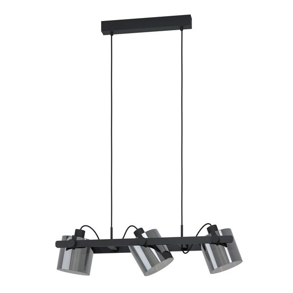 HORNWOOD 2 pendant light 43606 image 1