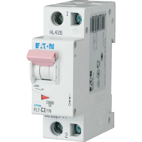 PL7-B2/1N Miniature circuit breaker (MCB), 2 A, 1p+N, characteristic: B image 1