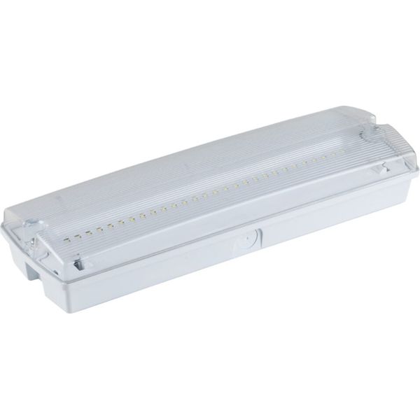 LiFeSafe PRO BH IP65 C EM3 NM/MT DA image 1